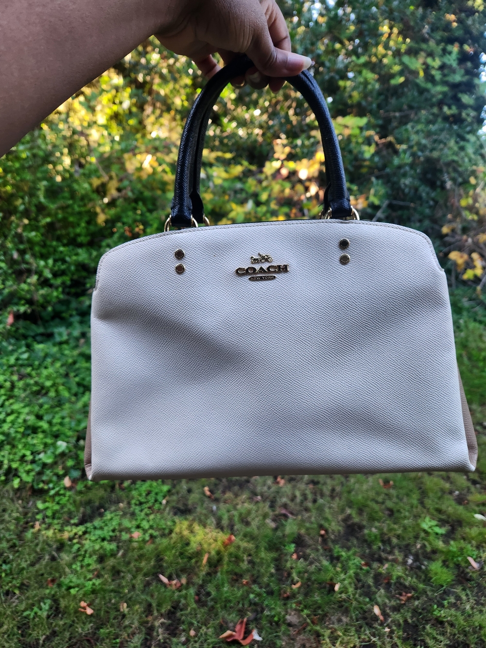 Coach Colorblock Ivory Satchel with Black Handles